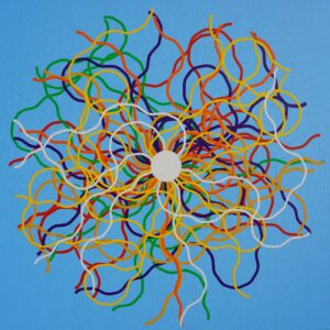 Vital Network